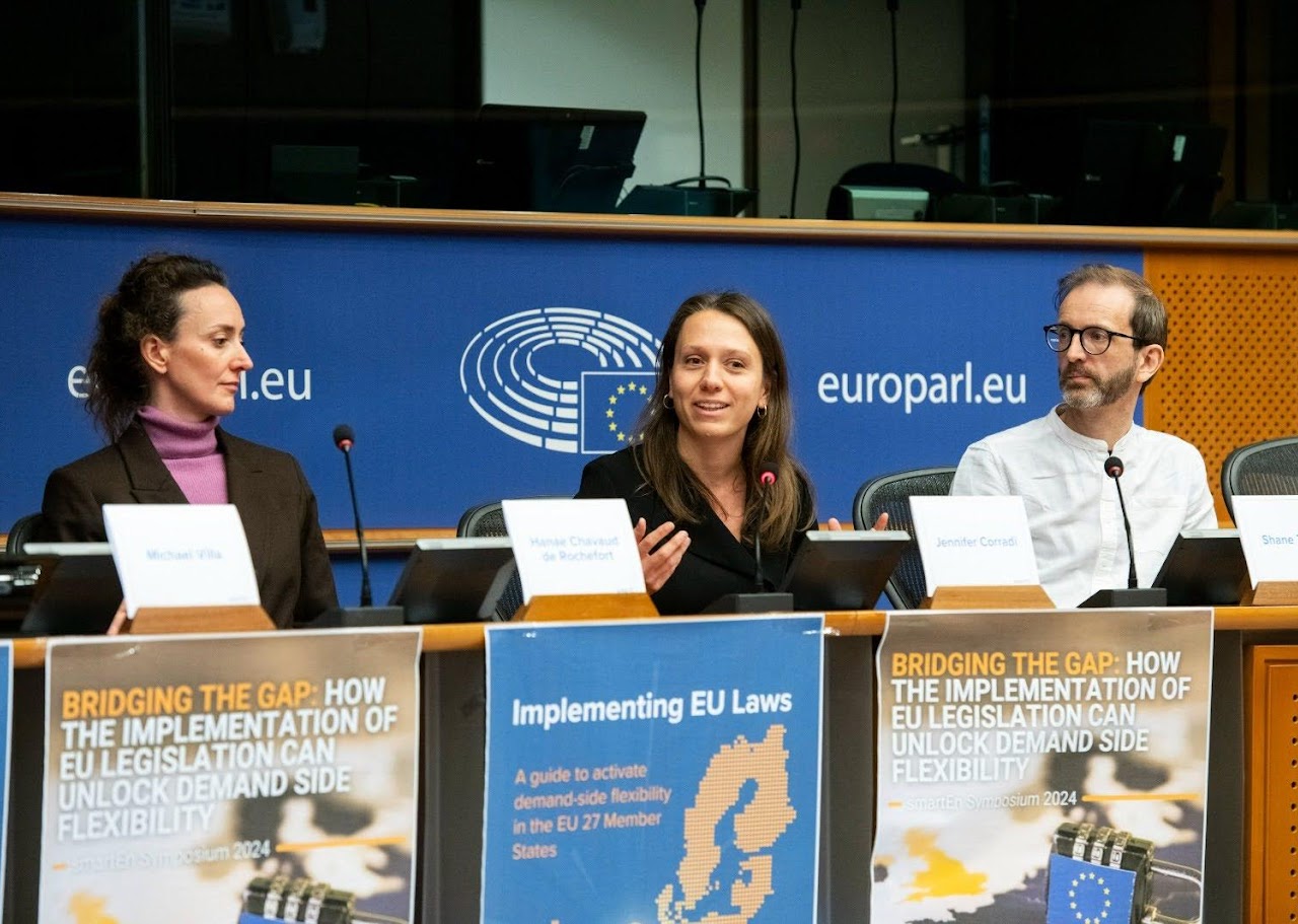 EU Parliament Experience